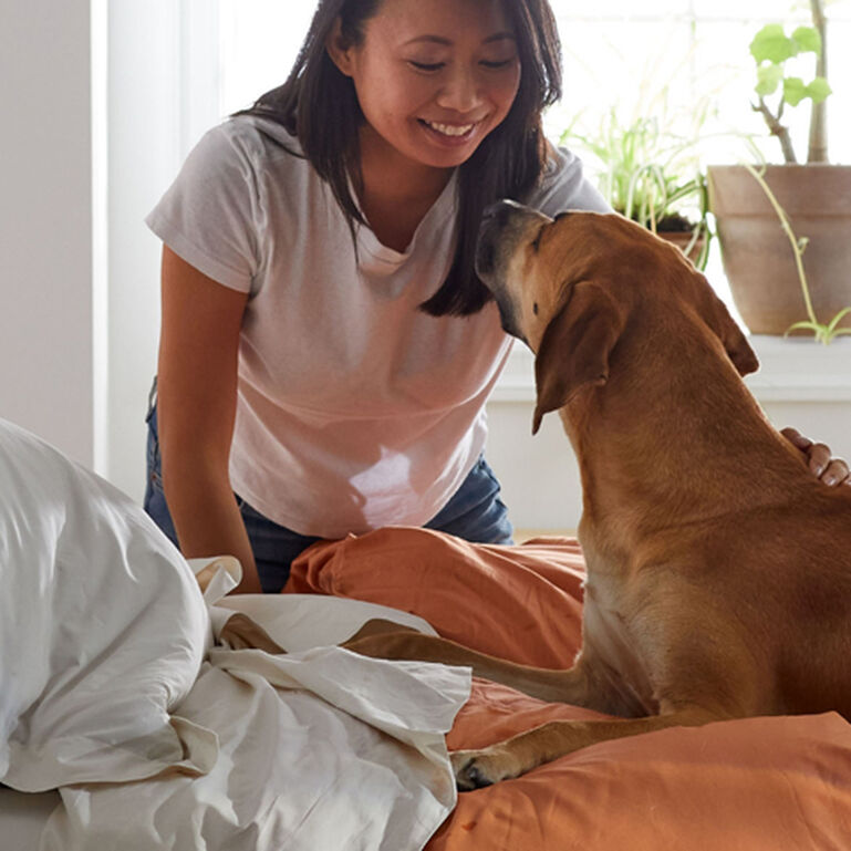 How Long Does Bedding Last?