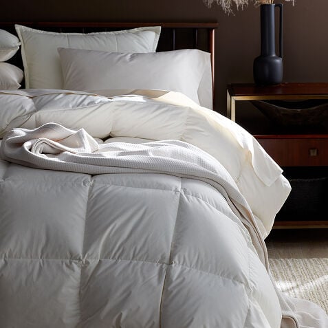 Shop Comforters at The Company Store