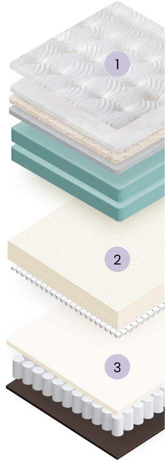Diagram of the layers in The Company Store Mattress