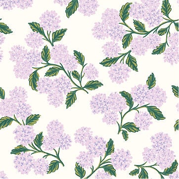 Shop Hydrangea at The Company Store