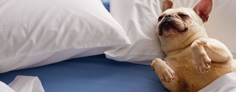 Best Tips for Sleeping in Hot Weather