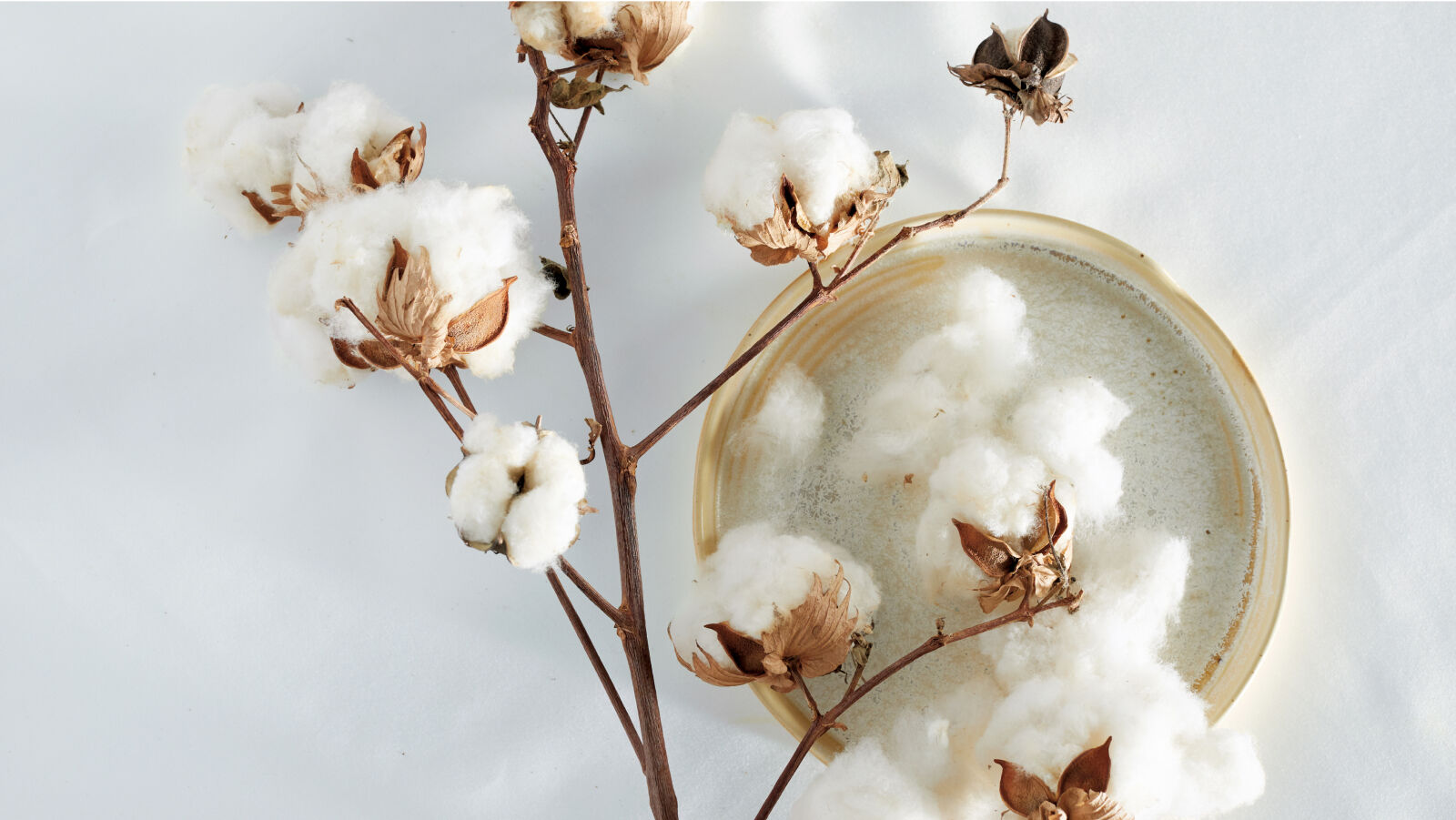 Guide to Choosing Cotton Bedding and Towels | The Company Store